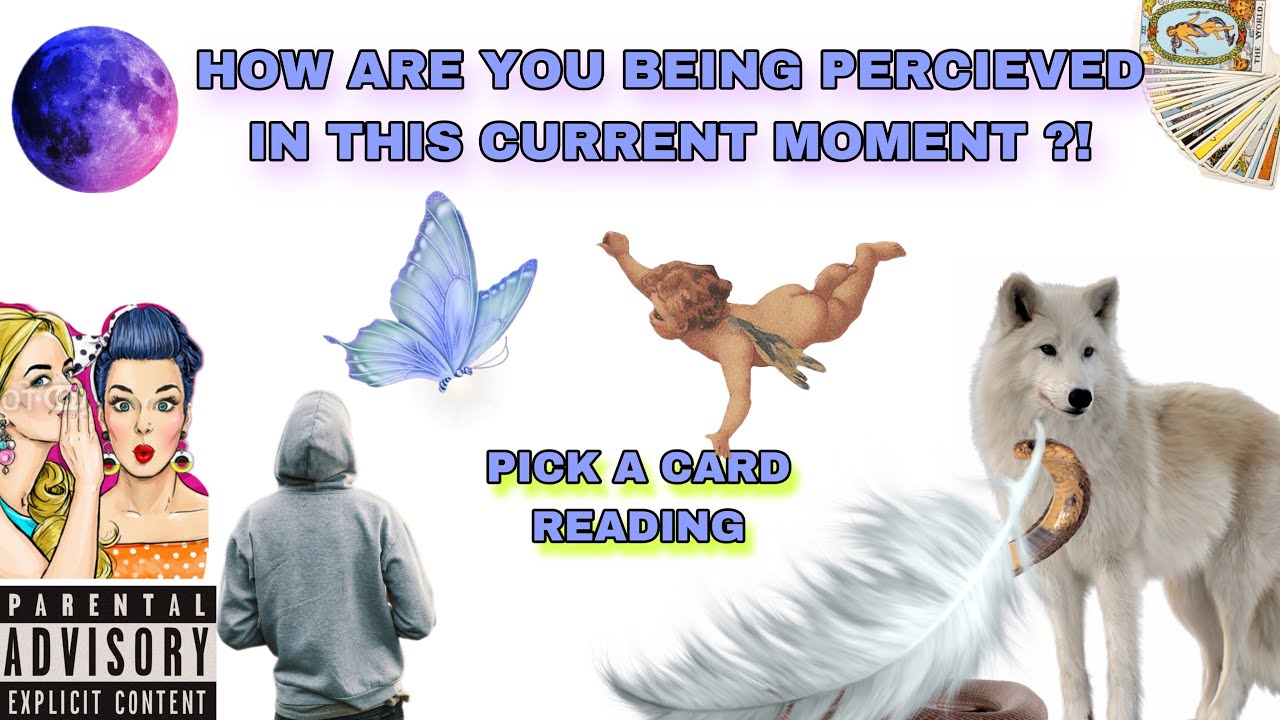 (PICK A CARD) HOW ARE YOU BEING PERCEIVED IN THIS CURRENT MOMENT ?!
