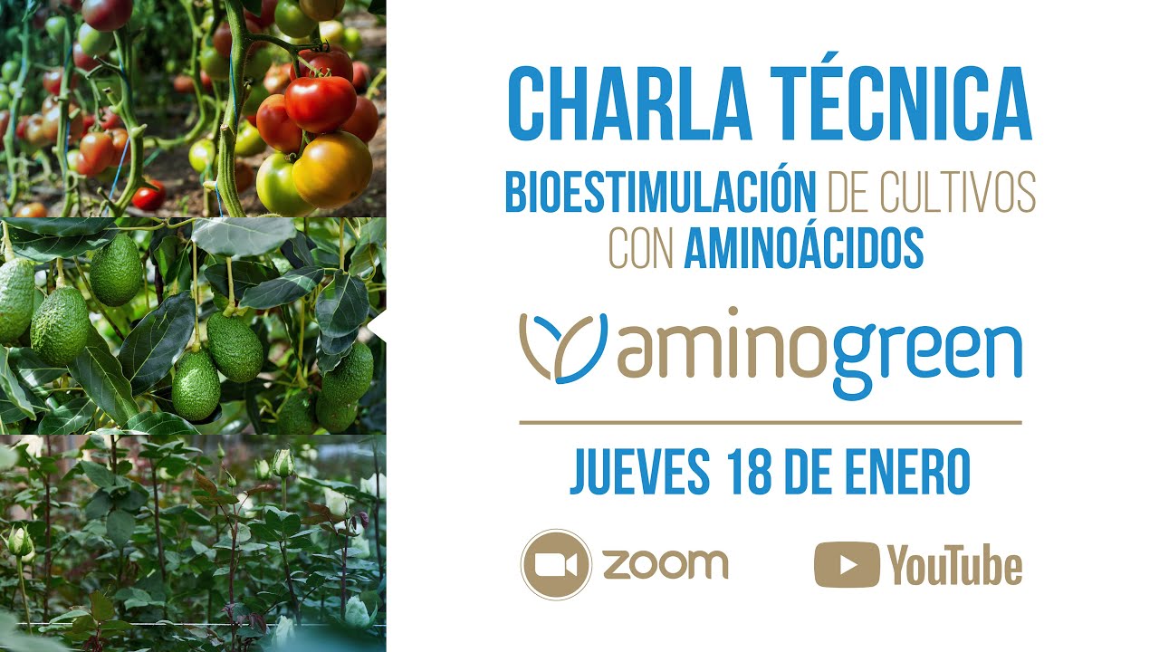 Charla técnica sobre Bioestimulación de cultivos con aminoácidos
