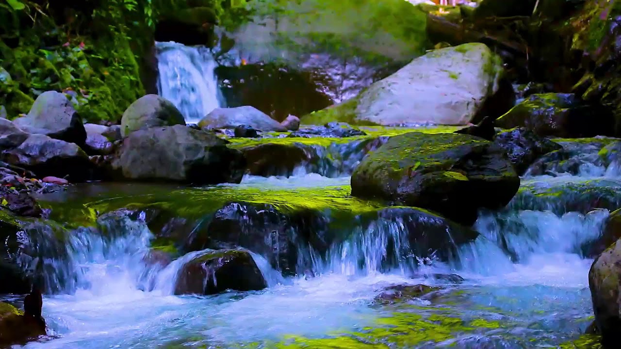 River Sounds That Make You Sleep | Deep Rest and Stress Relief
