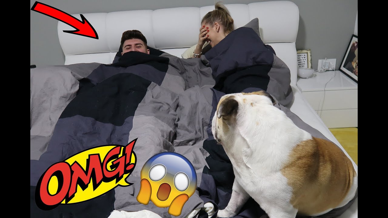 AM FACUT SCHIMB DE CASE CU UN VLOGGER | AM DORMIT CU COLO IN PAT ?