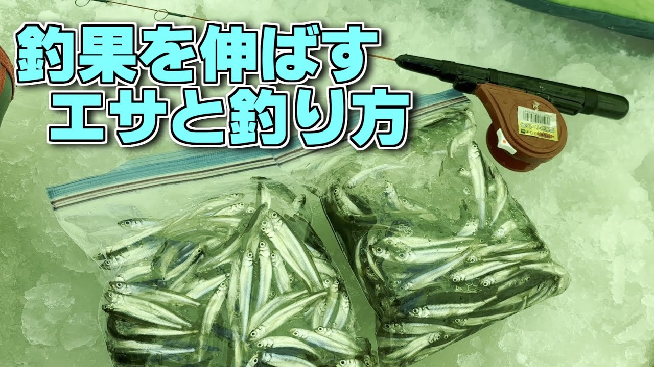 【１匹でも多く釣るための技】解禁後の砂川遊水池でワカサギ釣りを楽しむ
