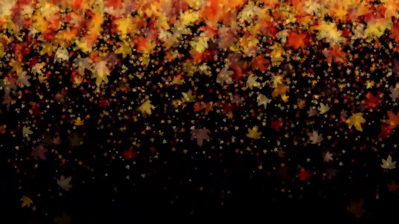 [10 Hours] Falling Leaves in Autumn Fall - Video Only [1080HD] SlowTV