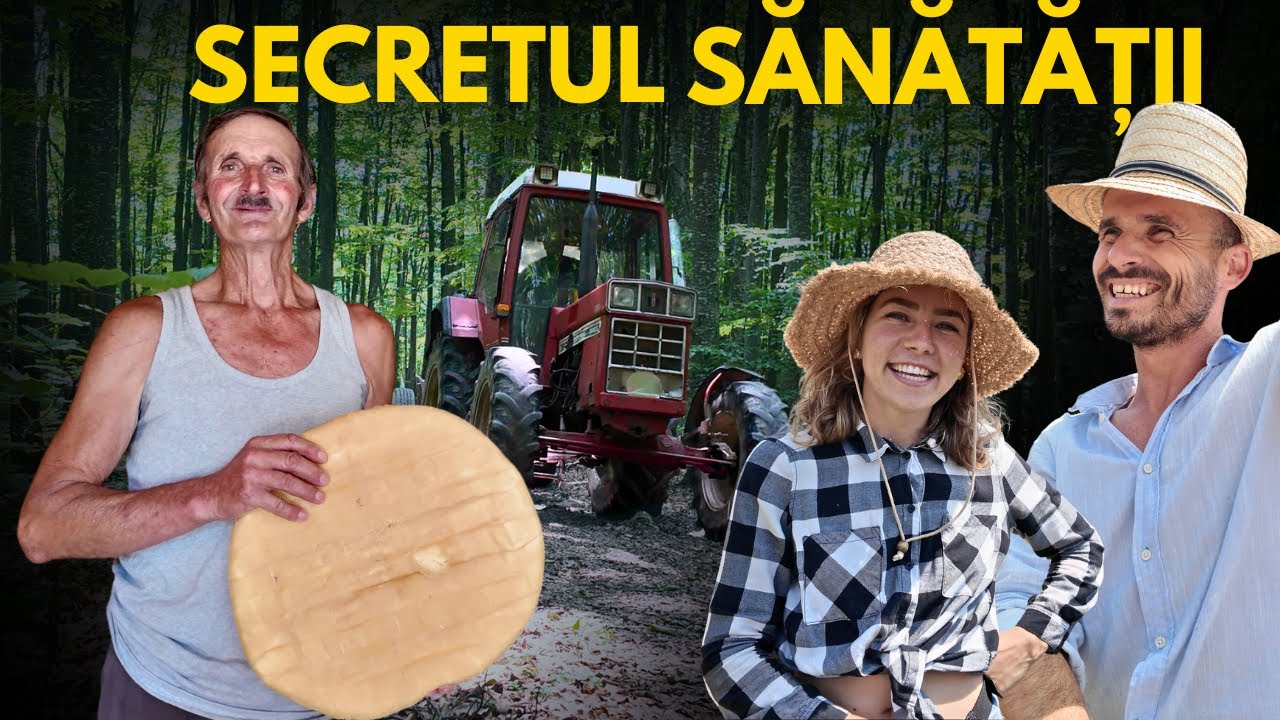 Am mers cu TRACTORUL la STANA | 🤤 Cel mai bun caș se face aici | Oamenii muntilor
