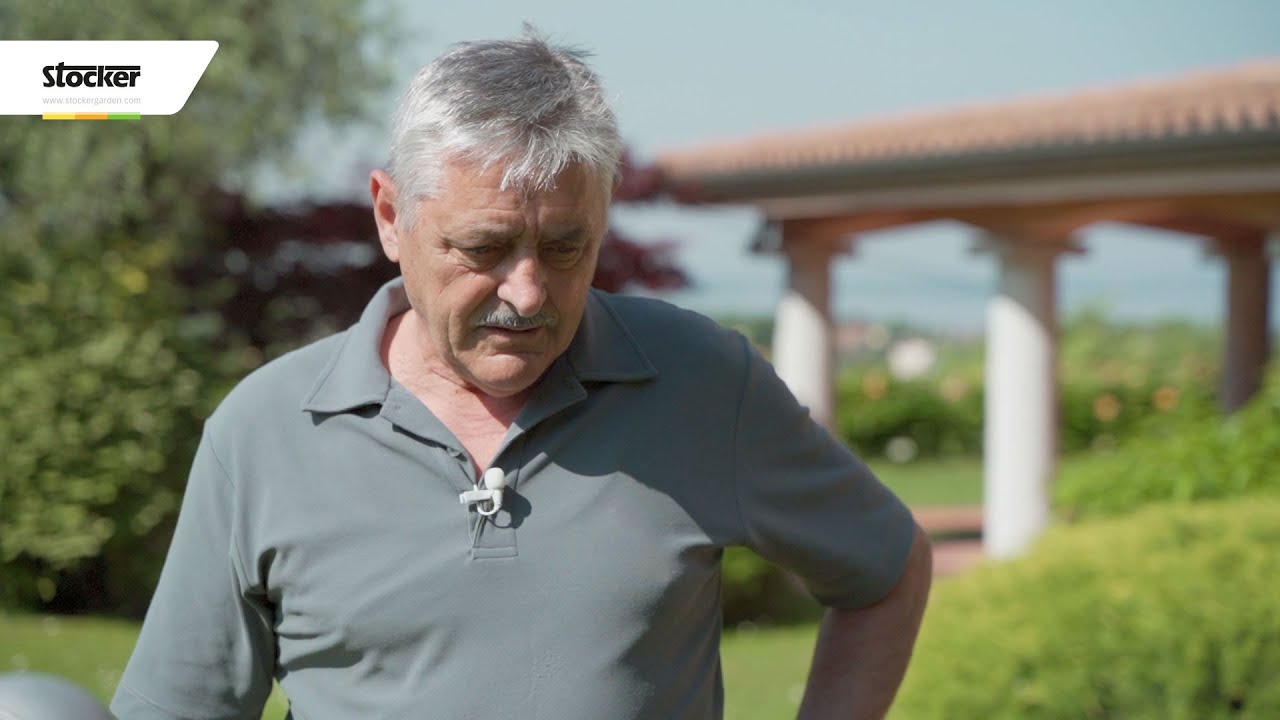 ATTENZIONE A QUESTI ERRORI: ALLEVI LE ZANZARE NEL TUO GIARDINO!