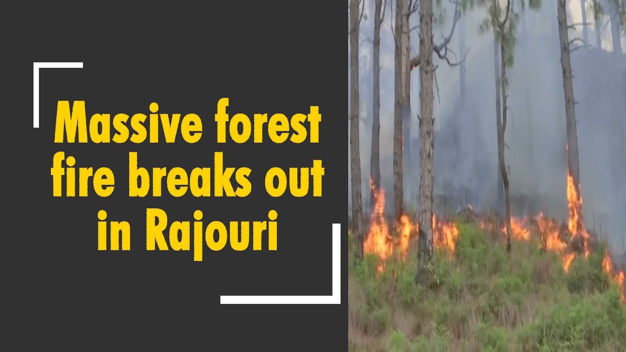 Forest fire in Kashmir leaves people gasping for fresh air