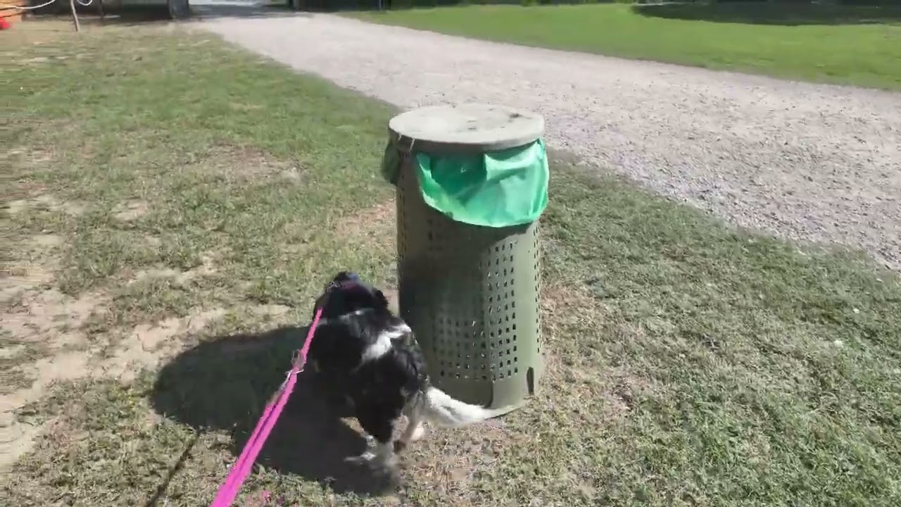 Marina de Venezia Hundebereich
