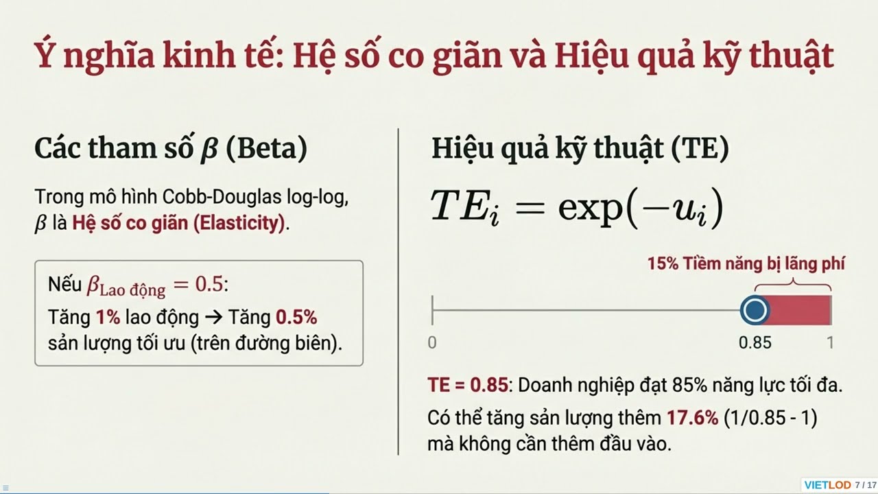 SFA vs. DEA: Khi nào nên sử dụng Mô hình Biên ngẫu nhiên? #stata #econometrics #research
