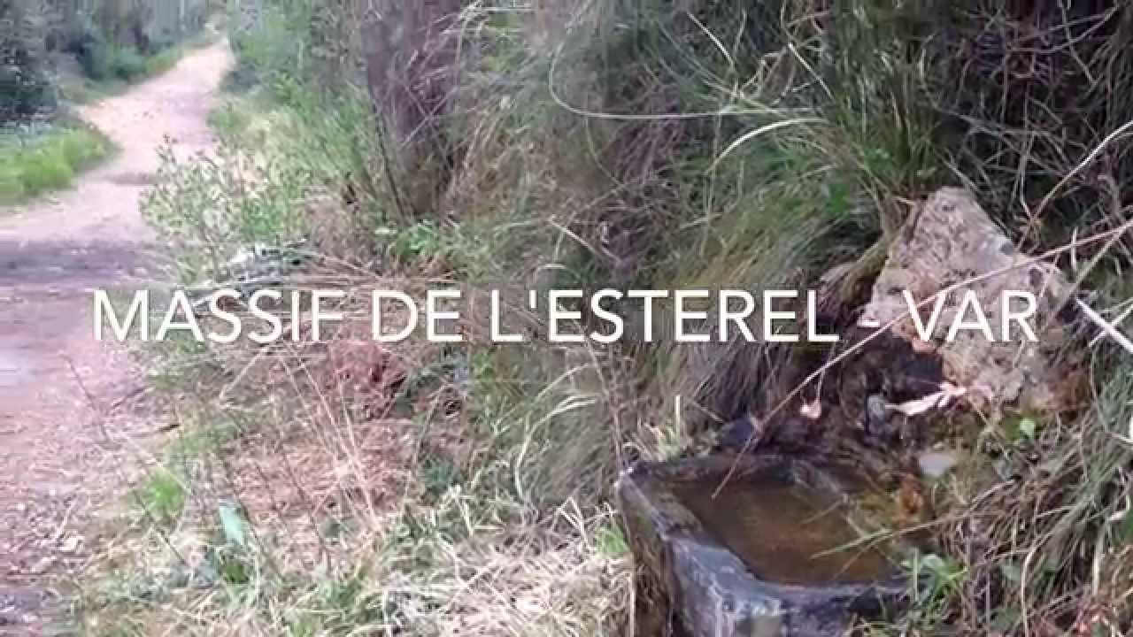 Streetstepper MTS 26 - Esterel