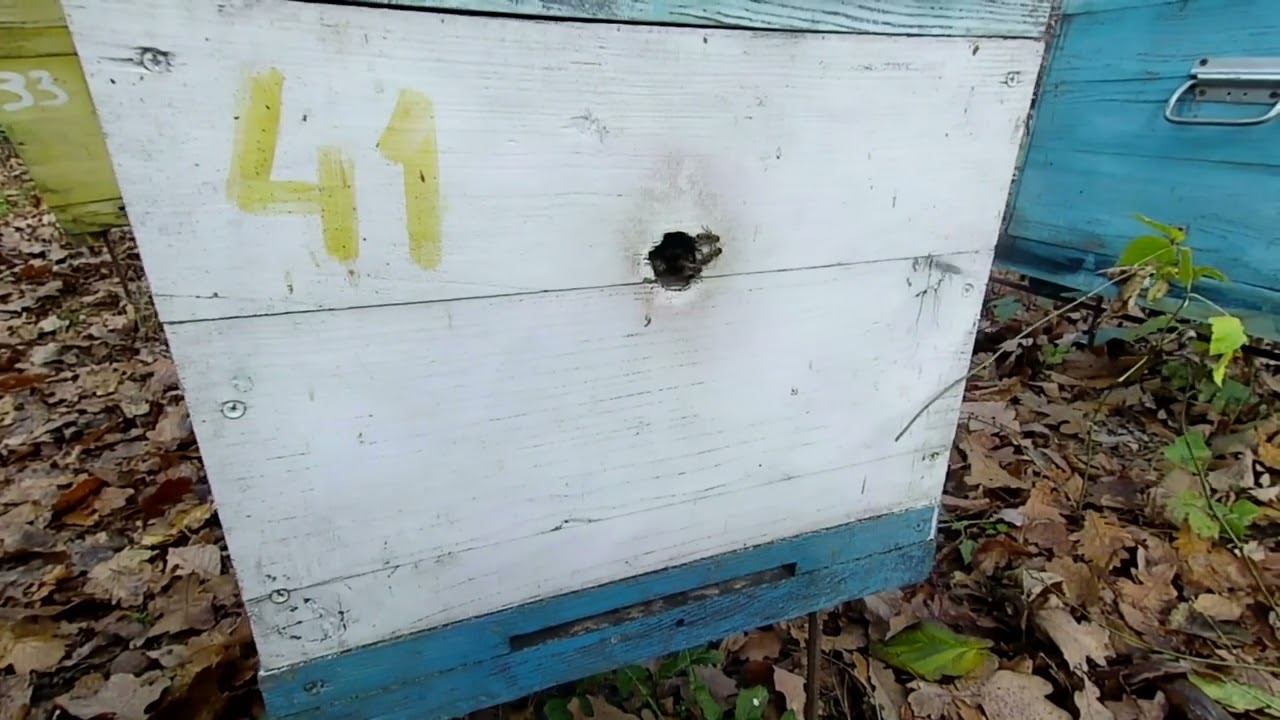 Чи ефективний китайський спрей? контроль біпіном.