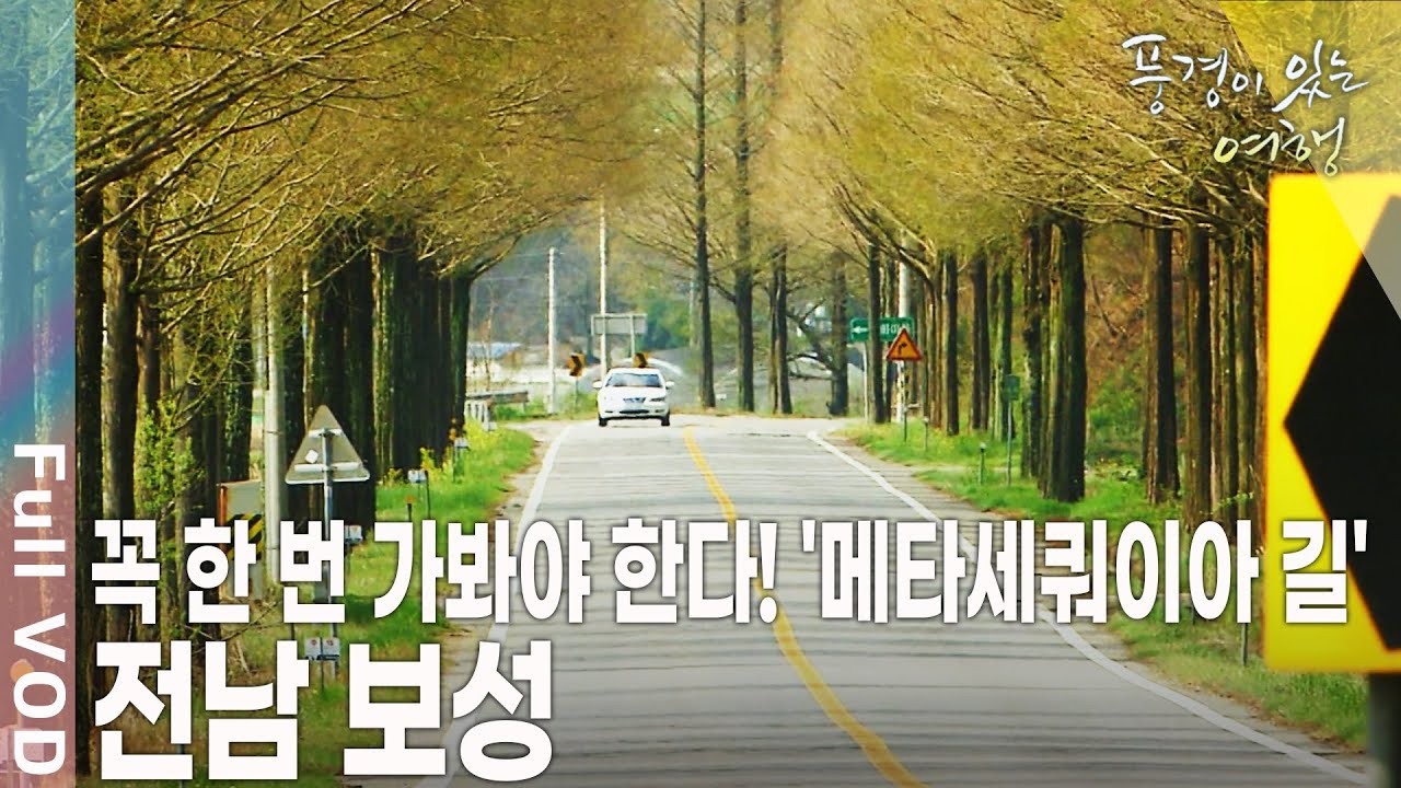 국내최대의 차주산지! ‘한국의 아름다운 길’ 100선에 든 사계절 내내 아름다움을 간직한 길이 있는 전남 보성 [풍경이 있는 여행 KBS 20100508 방송]