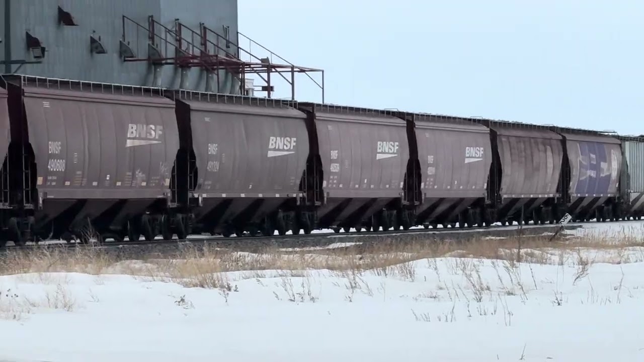 BNSF grain train