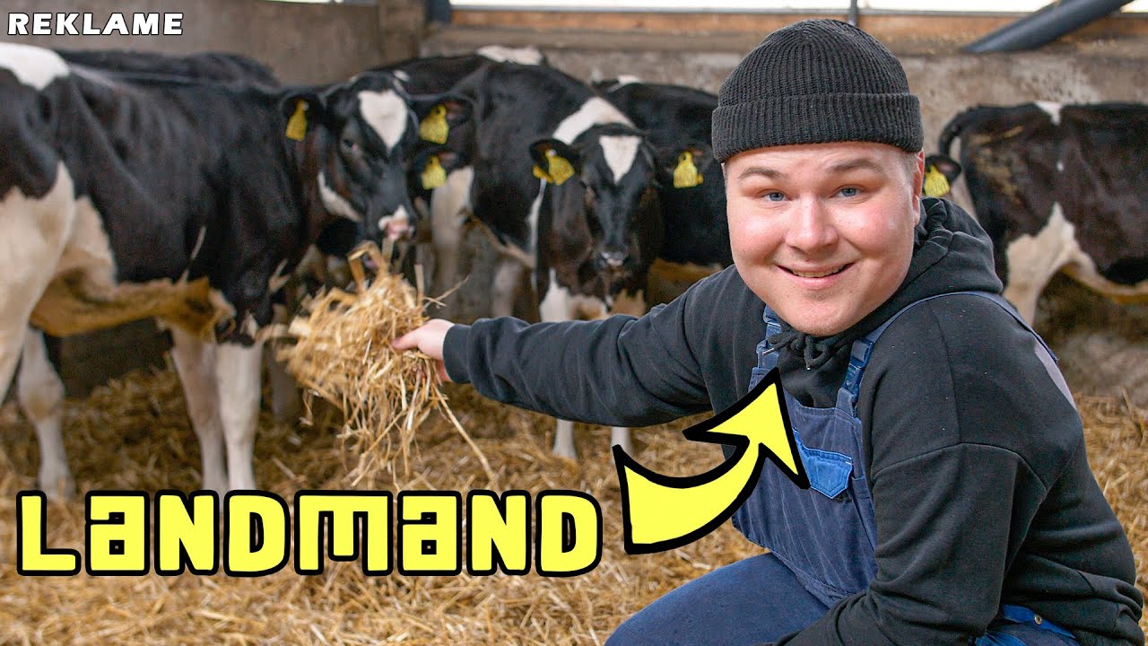 Guld Dennis prøver at være LANDMAND! | Bliv Landmand i Nord - Ungdomsuddannelse TV | Plan A