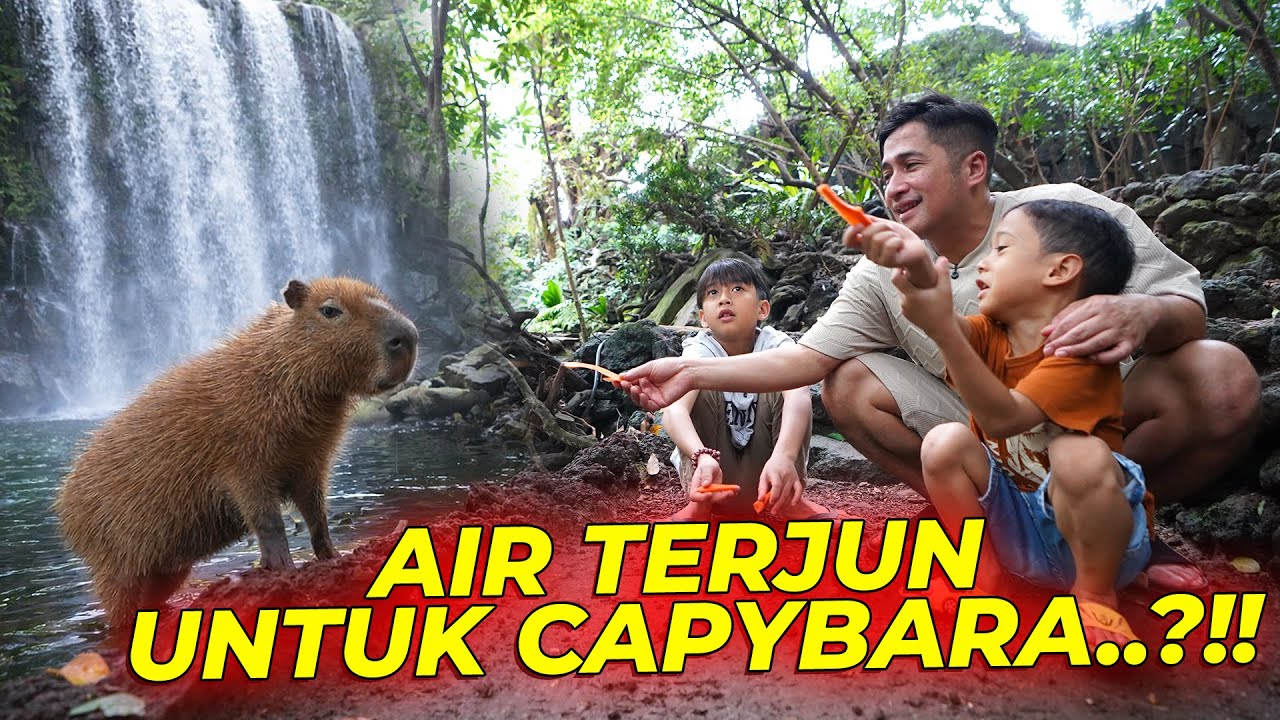 AUTO BENGONG..!! PERTAMA KALI JUNET MASUK DI KERAJAAN BARU..!!