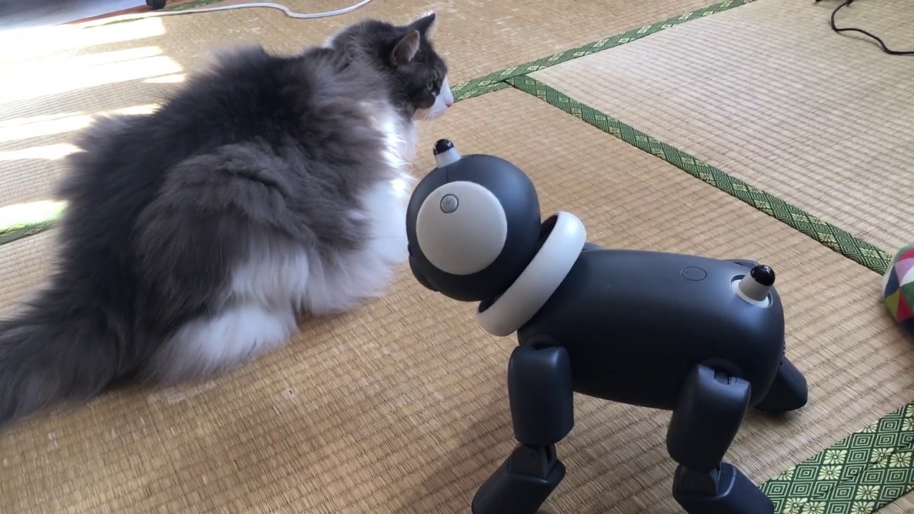 AIBO（アイボ）300シリーズ「ERS-312 マカロン」の歩き方がヘン