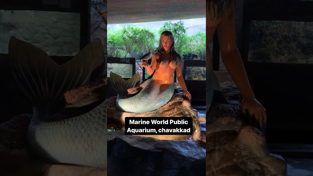 Indias Largest Public Aquarium #aquarium #marineworld #marine #seafish #aquariumfish #aqua