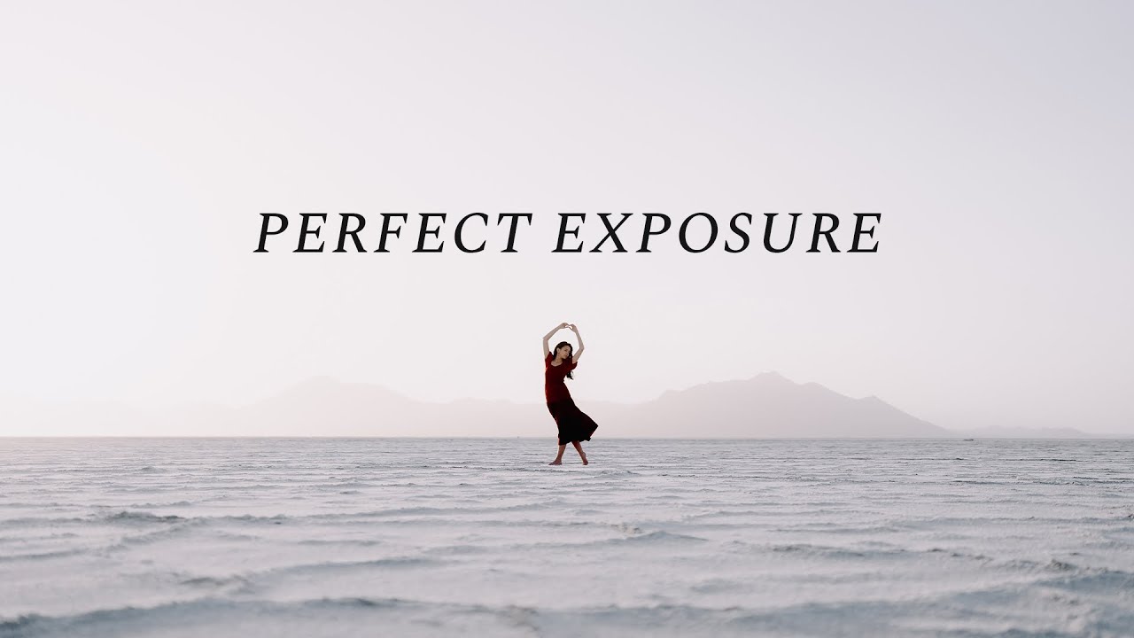 Using Zebras To Nail Exposure On The Sony A7IV