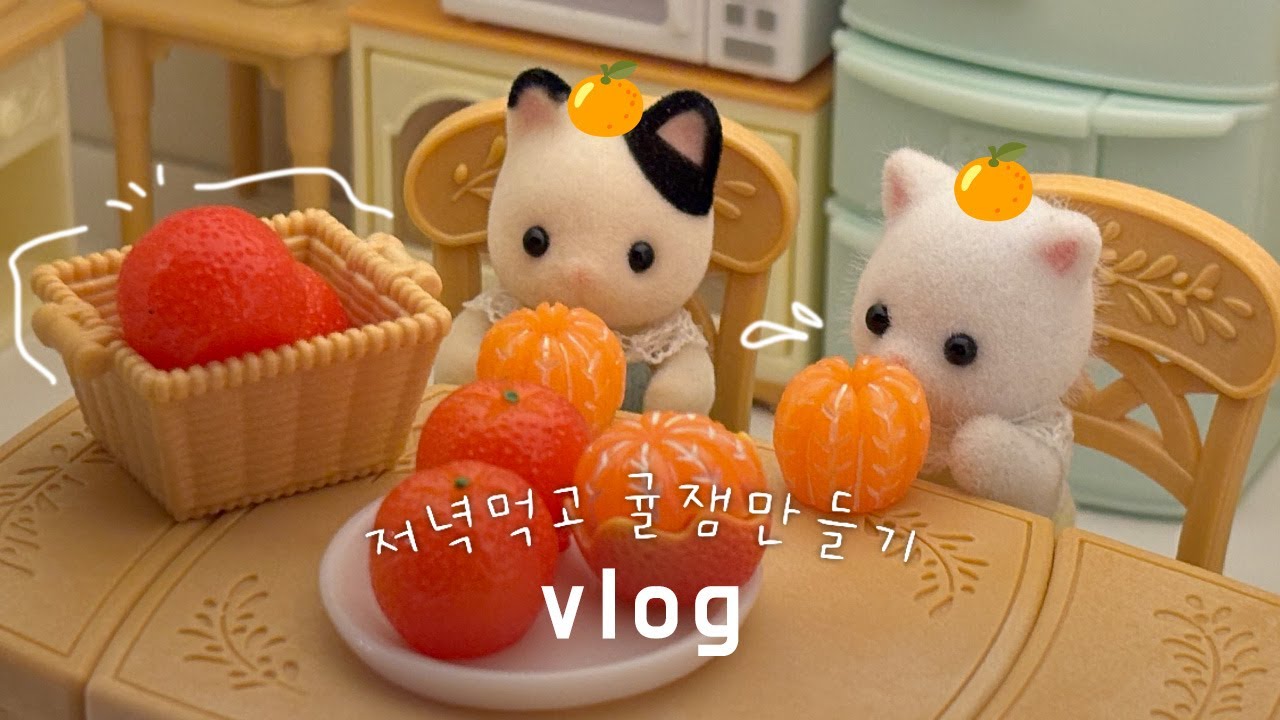 인형계 브이로그🍊 겨울엔 뭐다? 귤이다! 귤잼 레시피 대공개✨ #지구별하루레시피  | 실바니안 패밀리