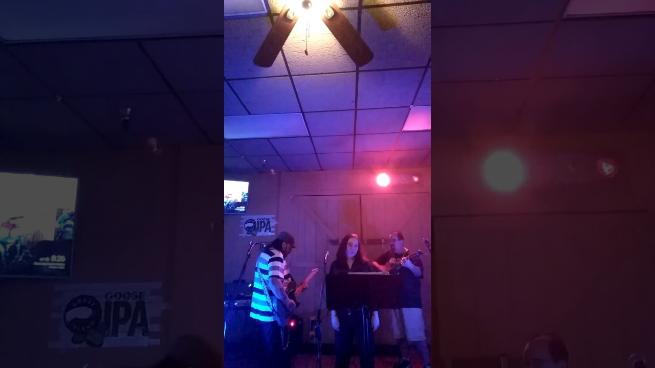 Almost Cut My Hair (Cover) Elaine Haggin
