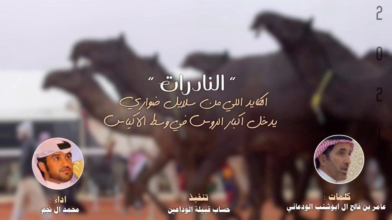 شيله طرب 👏🏼 ربعي وداعين ، من زايد الملطوم ماهي عواري ، النادرات اللي عليها يداري ، النادرات 2021