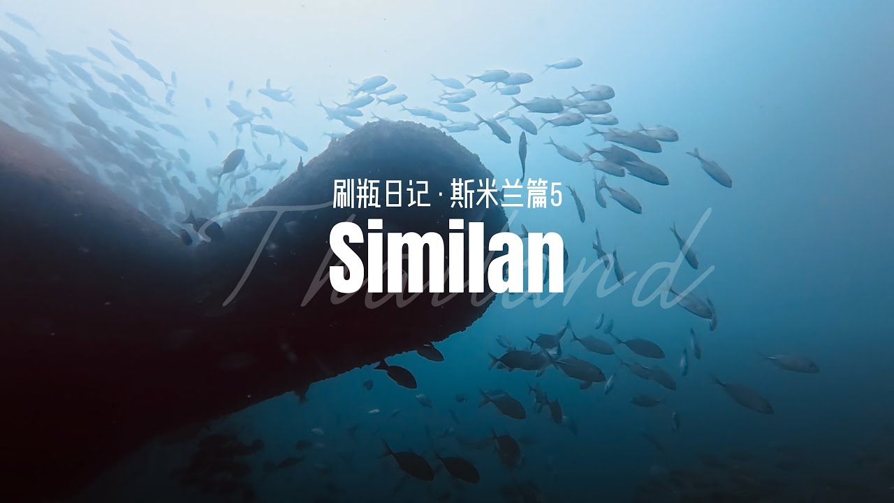 🤿｜Diving Diary • Similan 5
