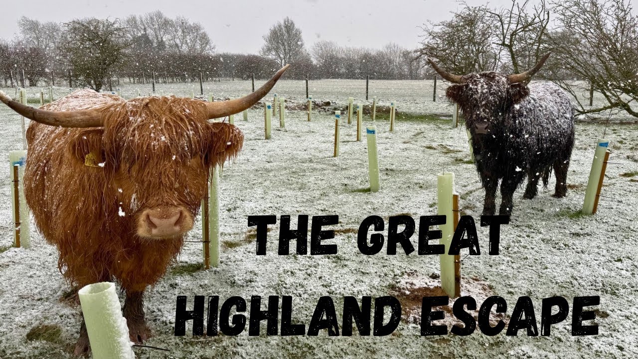 Compost Bays | Snow | Parsley’s Great Adventure | Mud, Mud, (Not So) Glorious Mud! 