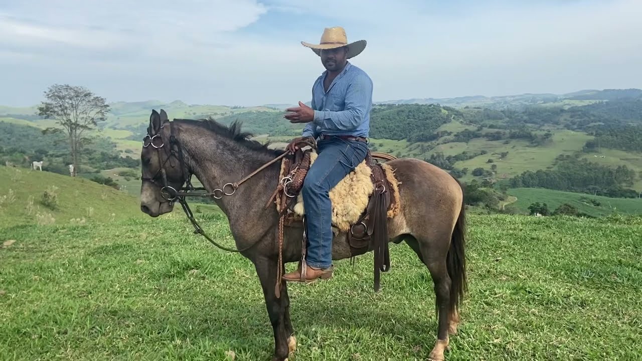 O que fazer quando seu cavalo se recusa a obedecer