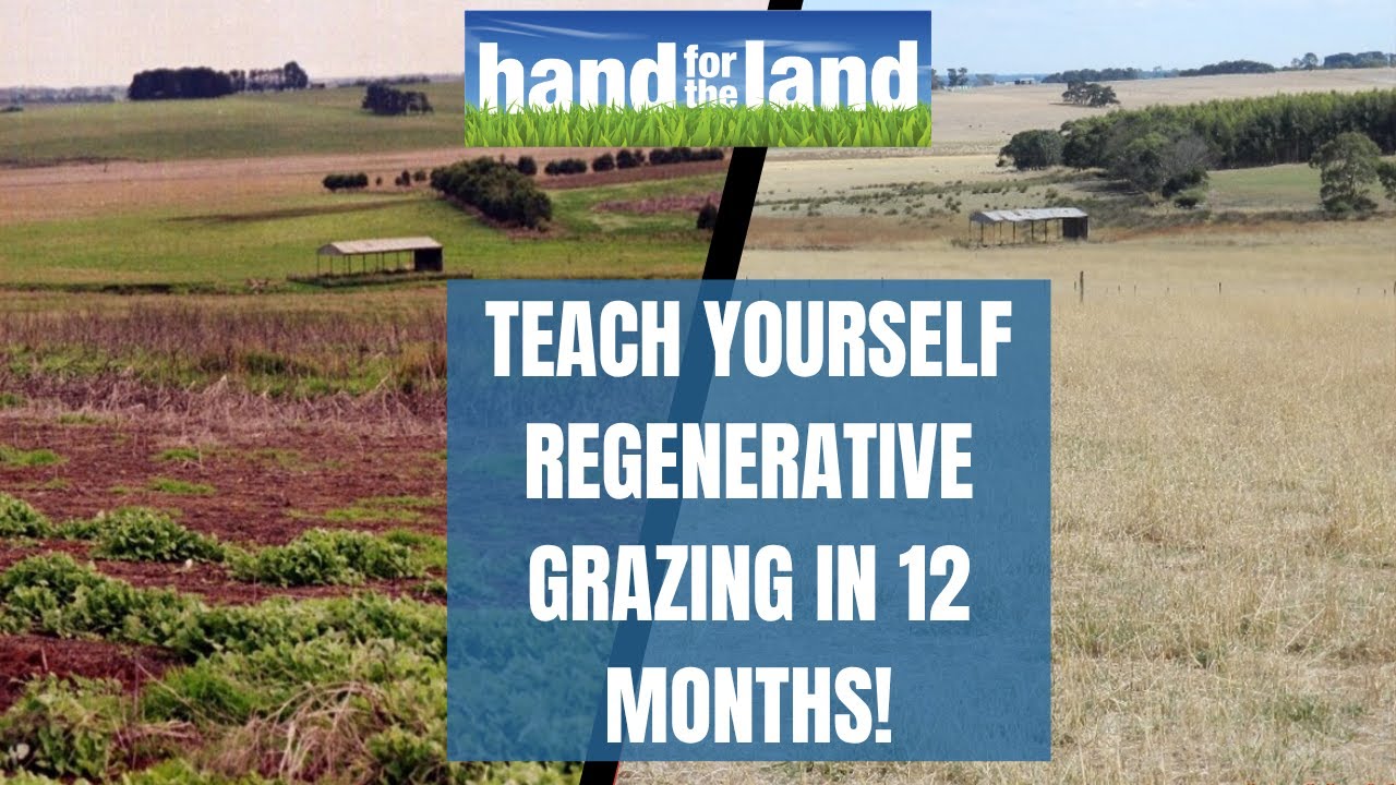 Teach yourself regenerative grazing in 12 months!