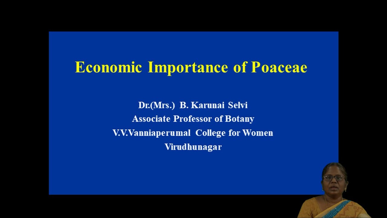 Economic Importance of Poaceae