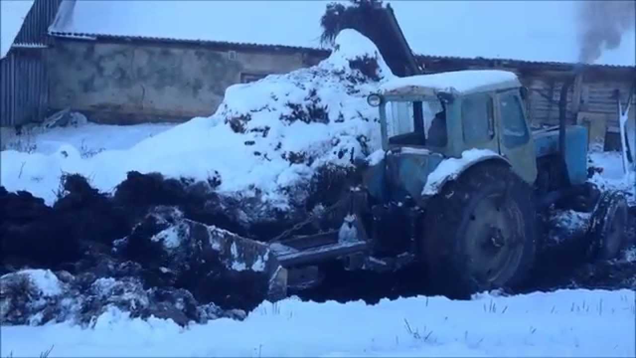 Pushing manure Mtz-50 (HD)!
