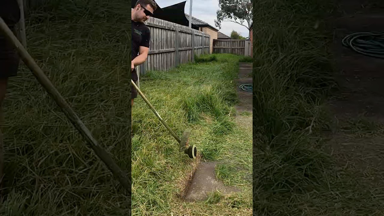 Overgrown Lawn is Out of Control 😲