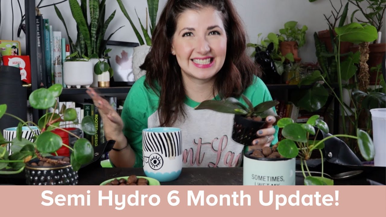 Semi Hydro/Passive Hydro Houseplant Update: How to set up houseplants in LECA, clean, refill & more!