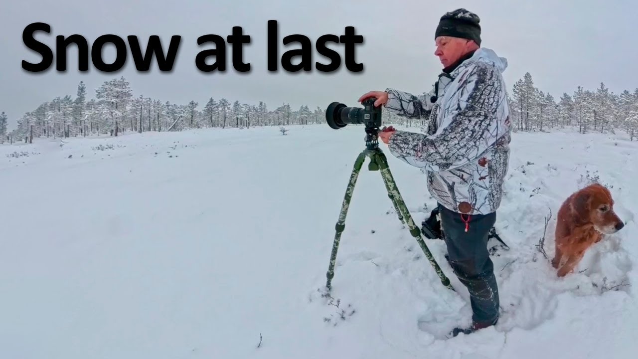 Snow at last