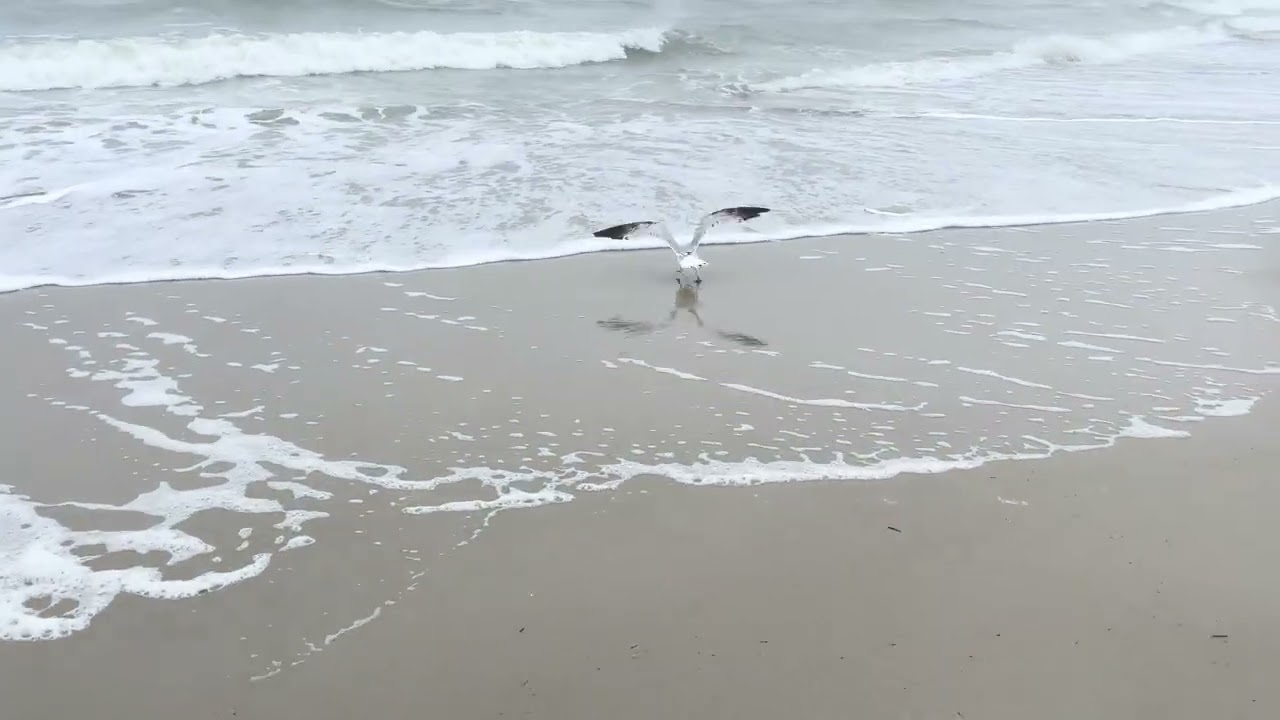Oak Island Foggy Beach Day
