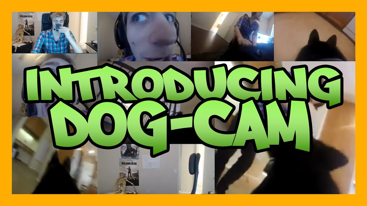 Introducing: Doge-Cam