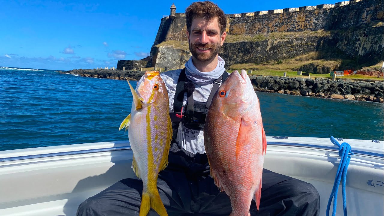 Yellowtail & Mutton Snapper MADNESS, Puerto Rico