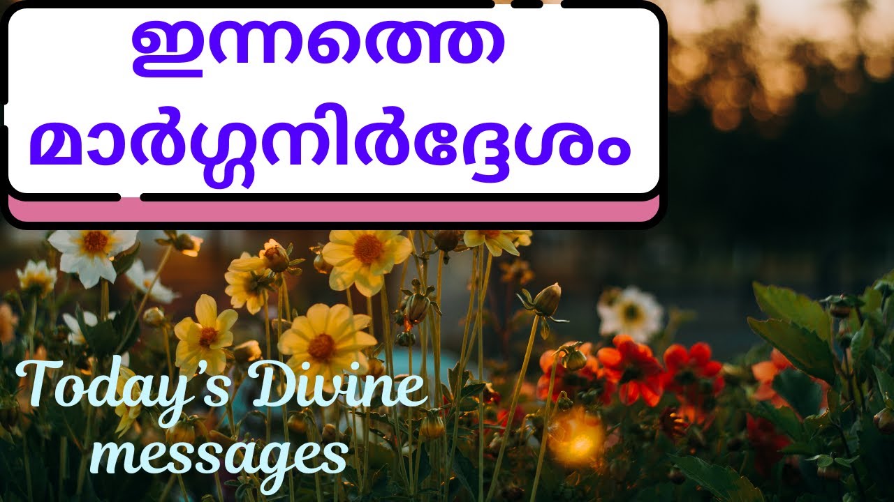 🌼വ്യാഴാഴ്ച Nov 13 💖🧿Divine messages🎋#malayalam #collective  #thursday