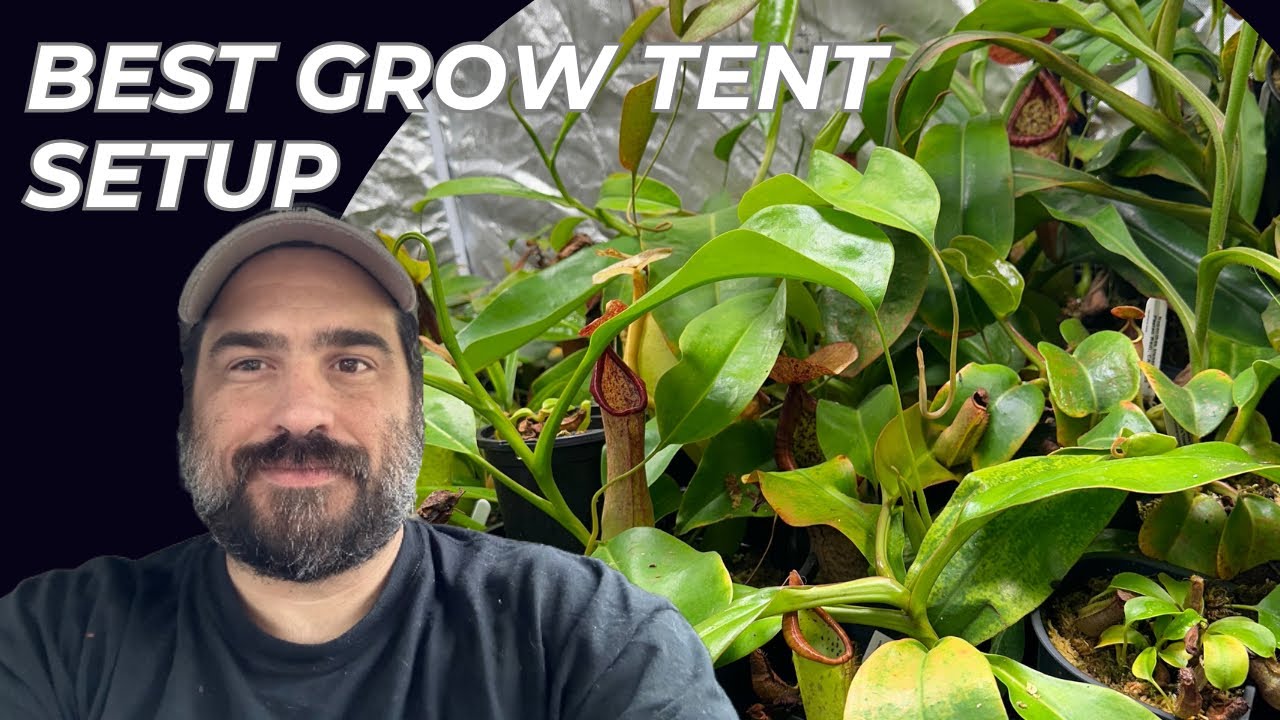 Craziest Grow Tent Build!