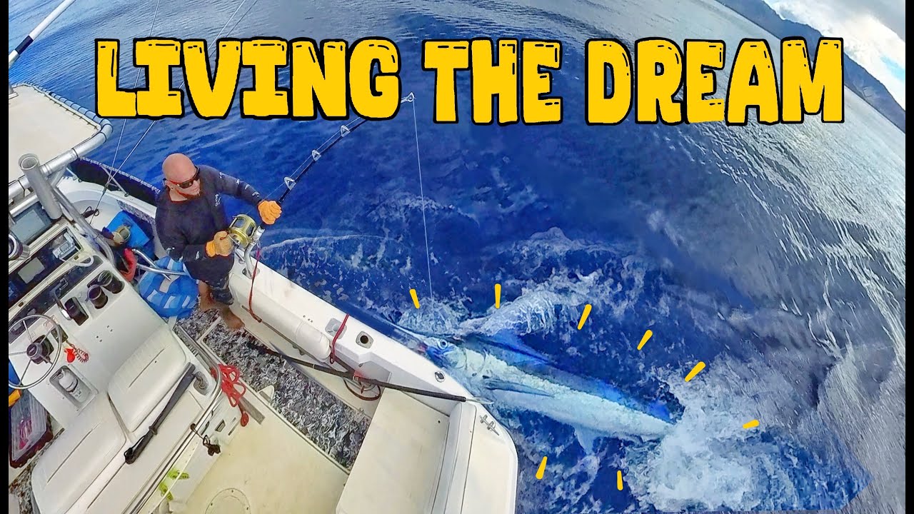 MARLIN HOOK UP CHASING YELLOWFIN TUNA AHI : HAWAII FISHING