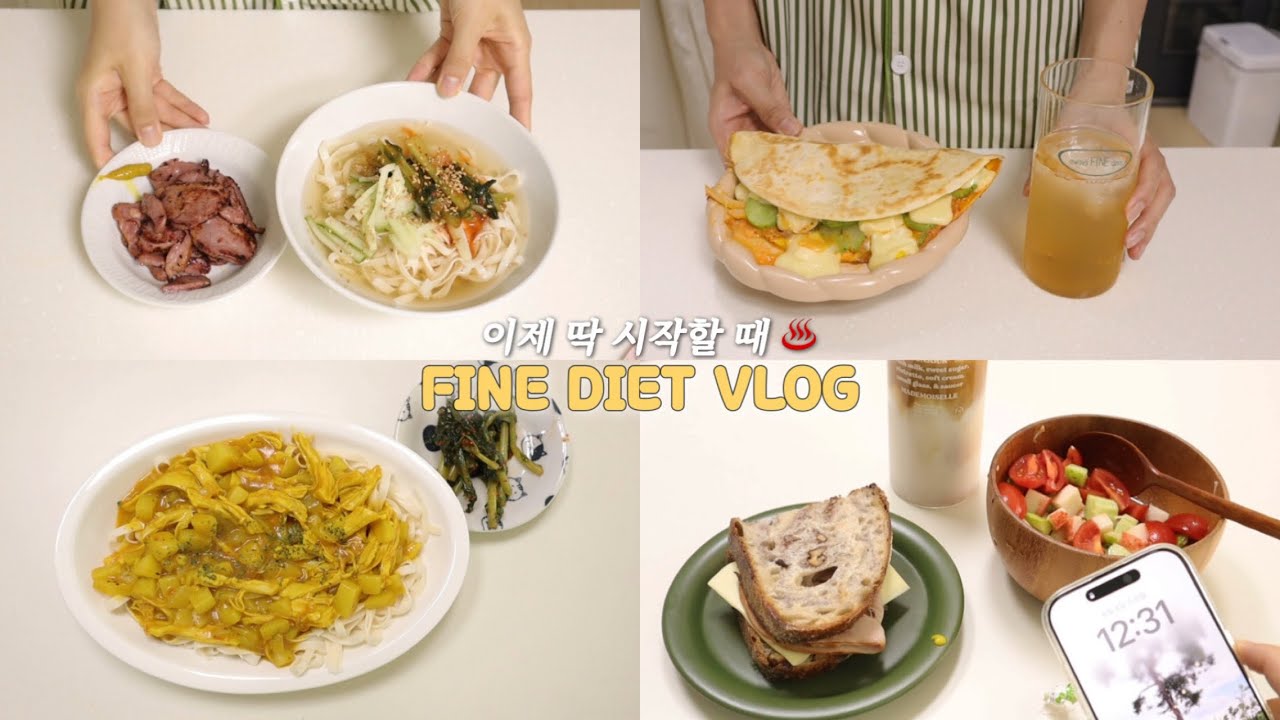 의지 생겼을 때 바로 시작! 누구나 오~래 따라할 수 있는 레시피🌮 다이어트 브이로그 | 참치퀘사디아, 닭가슴살나물김밥, 여름샐러드, 열무냉국수, 감자카레국수 | 간헐적단식