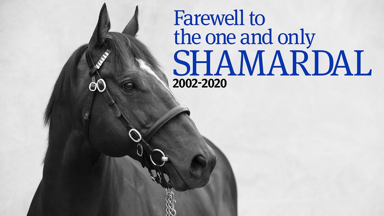 Farewell to the one and only Shamardal