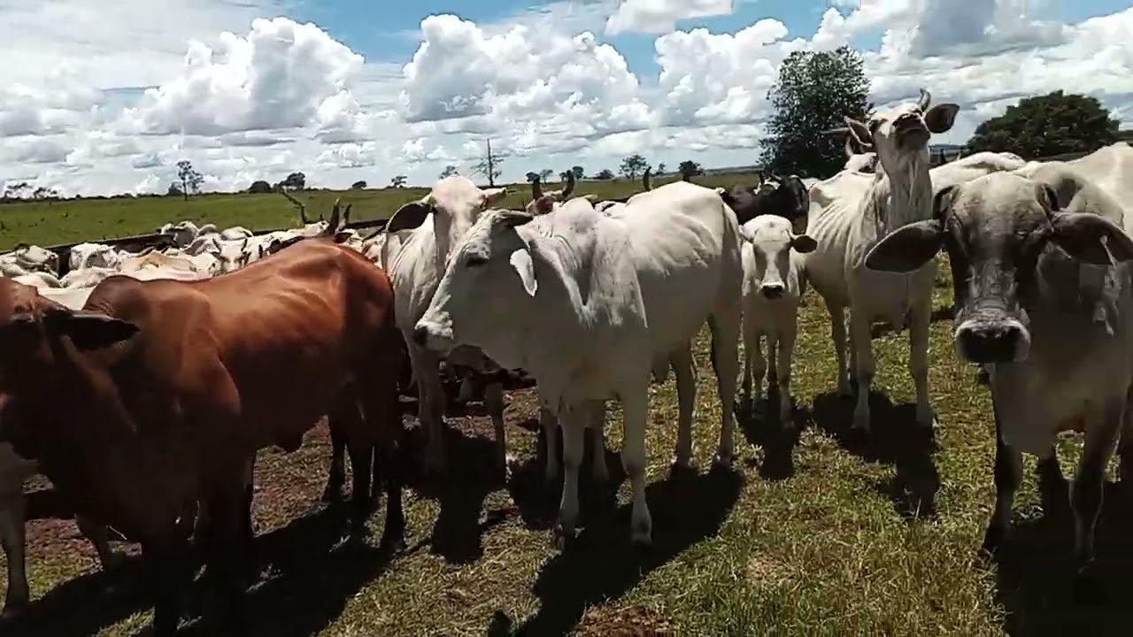 A competição deve ser você com você mesmo- Seja melhor a cada dia.