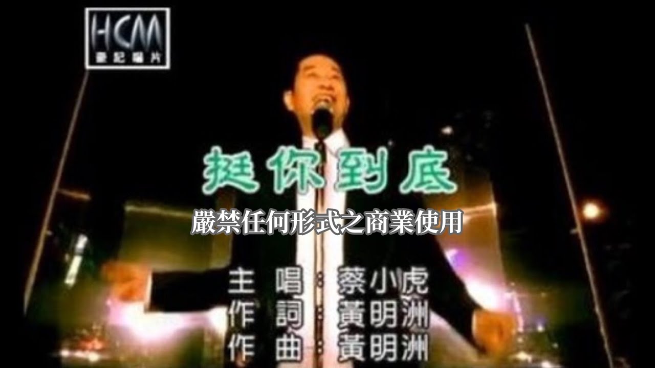蔡小虎-挺你到底(官方KTV版)