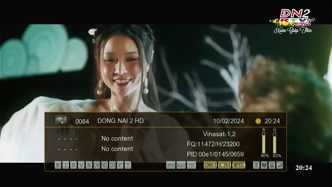 Terrestrial (Dak Lak province) + Satellite (Vinasat 1,2) Channel Zapping - February 10, 2024