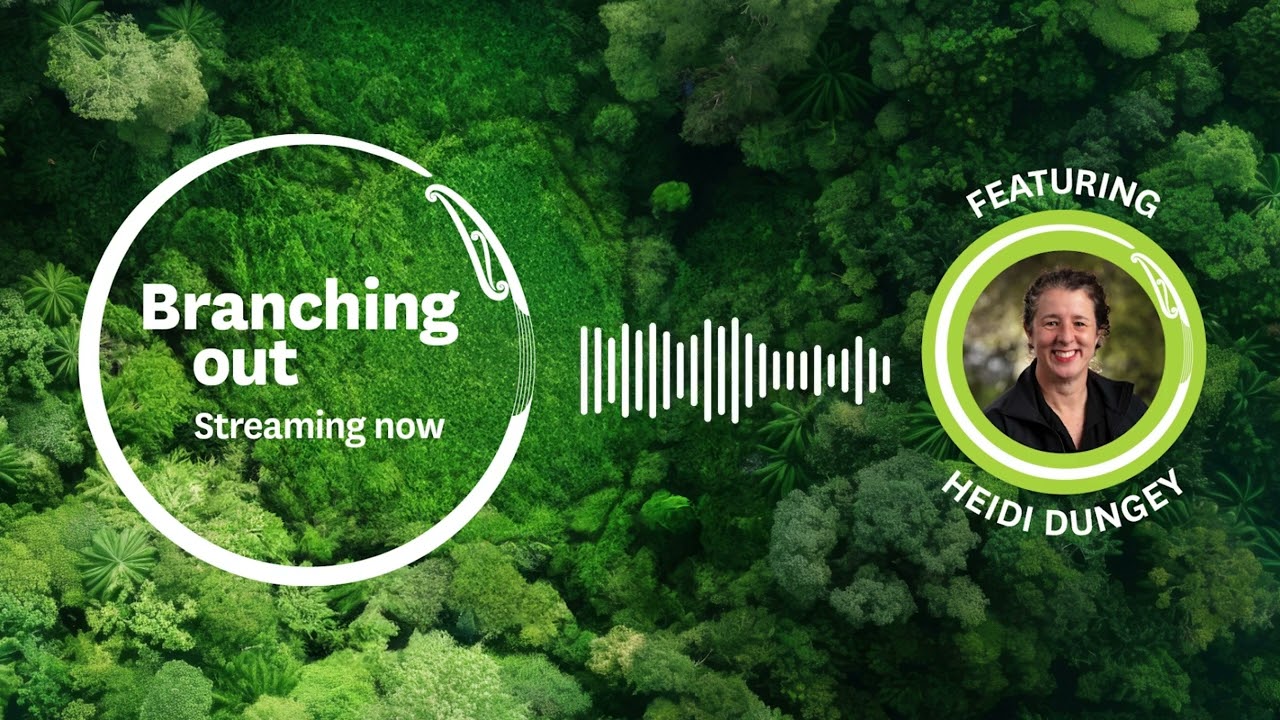 Branching Out Episode 8: Tree breeding, climate adaptation and working alongside Māori