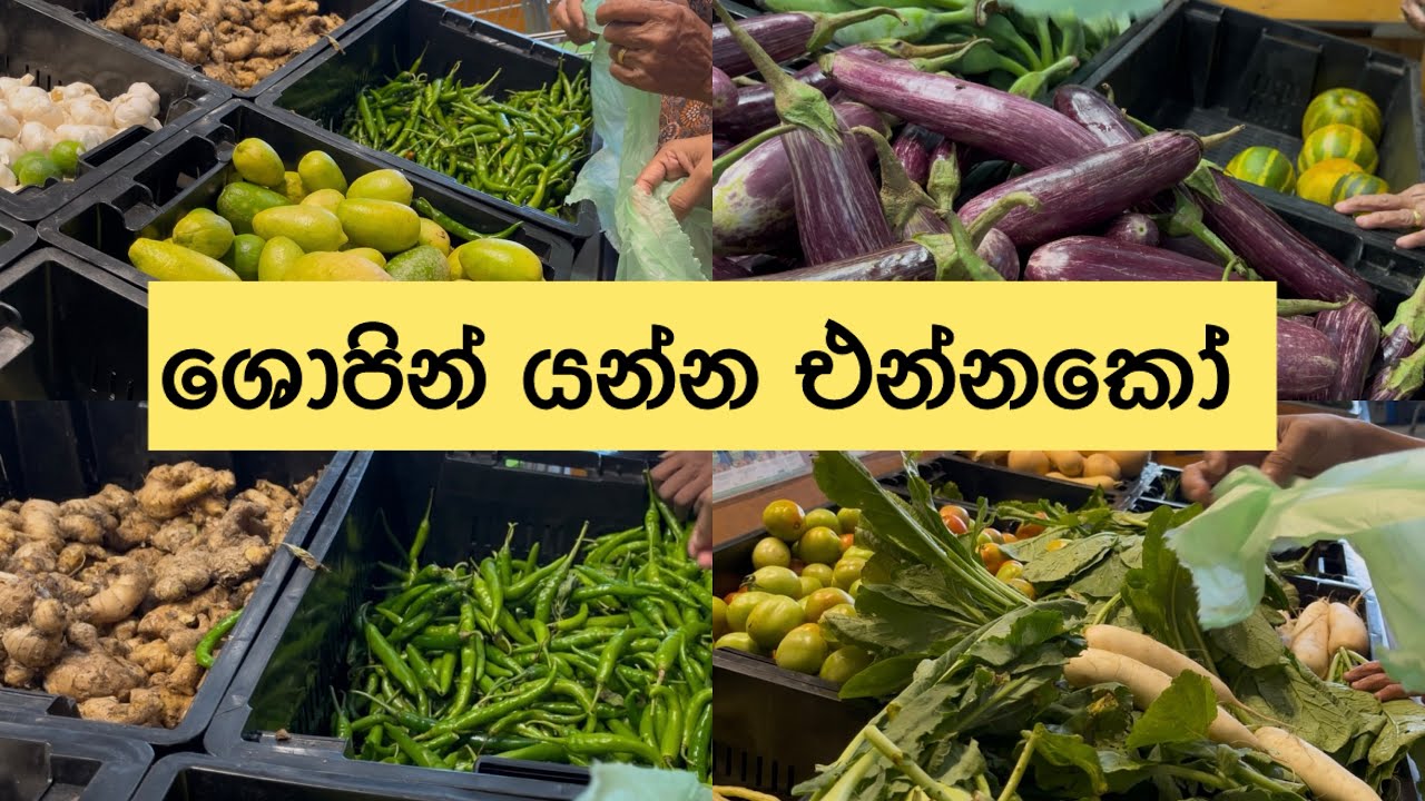 ශොපින් යන්න එන්නකෝ 🥥🥦| Relaxing Shopping Vlog | Daily Essentials & Little Happiness Moments 🌶
