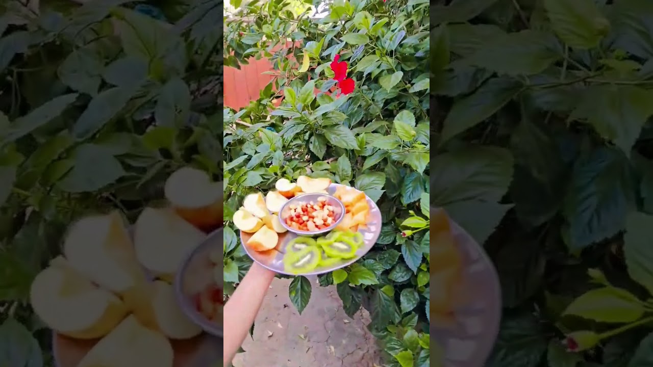 Morning breakfast #shorts #ghummakad #ytshorts #trending