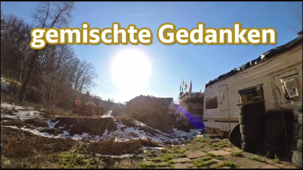 20.01.26 gemischte Gedanken | SissisWelt