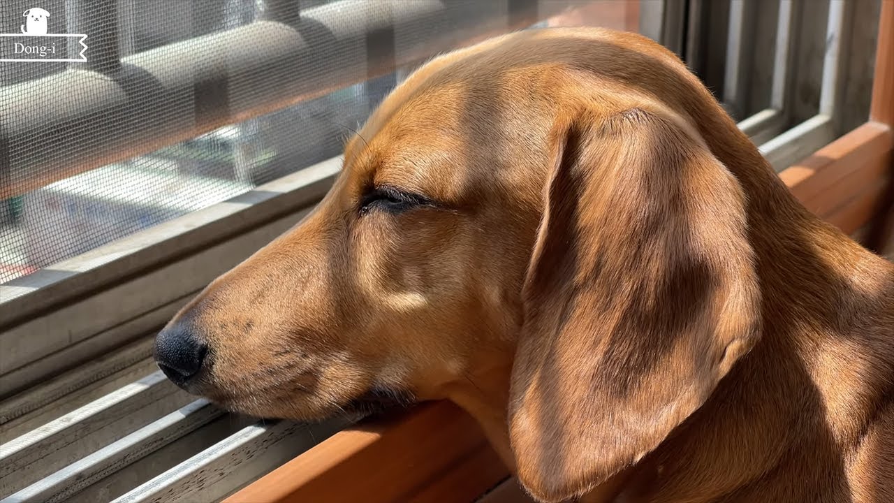When the sun shines, I fall asleep...★