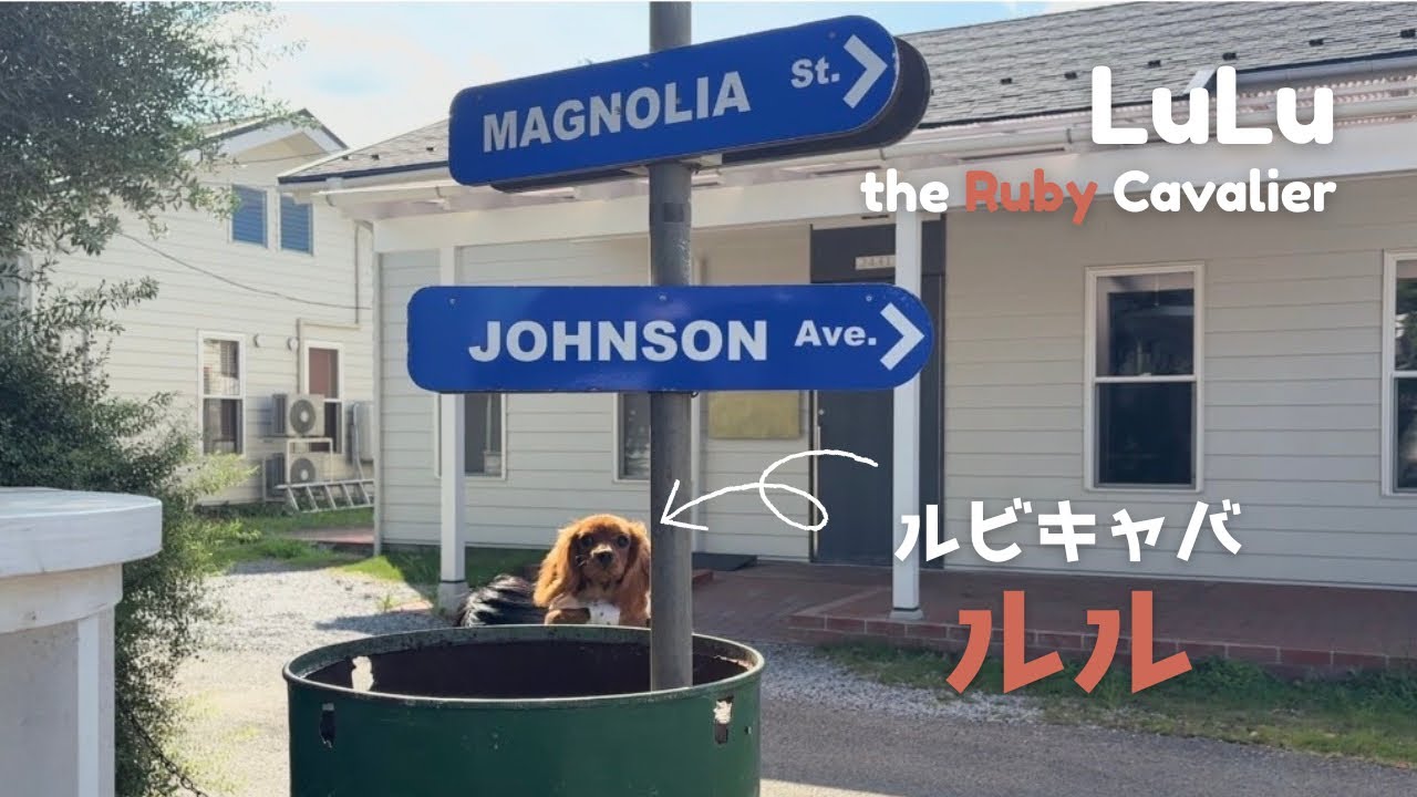 【ジョンソンタウン】アメリカの街並みで海外旅行気分🇺🇸｜Feel Like Traveling Abroad in Johnson Town, Japan