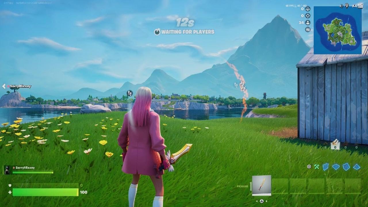Fortnite with BradnJim